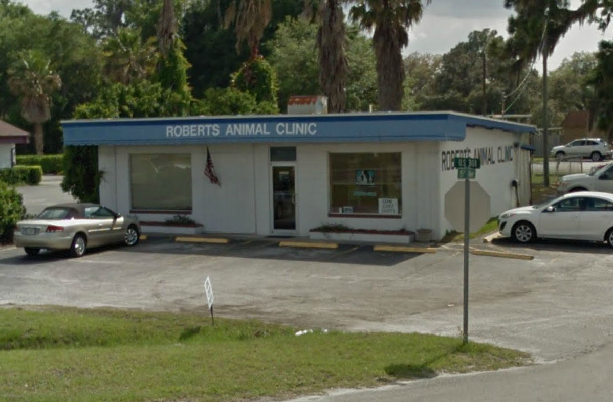 Low Cost Animal Hospitals of Central Florida - Orlando, FL Area